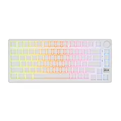 ROYAL KLUDGE - Teclado Magnético RK M75 HE Aurora Rapid Trigger 8KHz HE