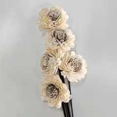 SOHOGAR - Ramo belary papel eva blanco 55 cm