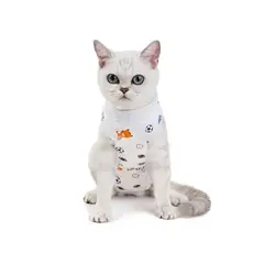 GENERICO - Body Post Operatorio Para Gatos Talla M