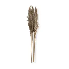 SOHOGAR - Ramo luminosa natural 100 cm