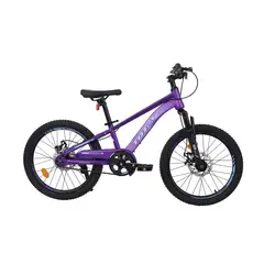 TOTEM - BICICLETA MTB ARO 20 MODELO LYRA VIOLETA