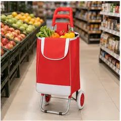 GENERICO - Carrito De Compra Plegable Con Ruedas Bolsa Gran Capacidad