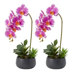 FLIPEREX - Set 2 Plantas Artificiales Orquidea Maceta Decoracion Hogar - Rosa - Macetero Negro