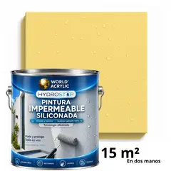 WORLD ACRYLIC - ESMALTE IMPERMEABLE SILICONADA - DIRECTO SOBRE HONGOS – MATE – GALÓN – LUZ DORADA