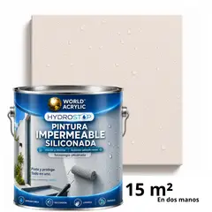 WORLD ACRYLIC - ESMALTE IMPERMEABLE SILICONADA - DIRECTO SOBRE HONGOS – MATE – GALÓN – MARFÍL ROSA