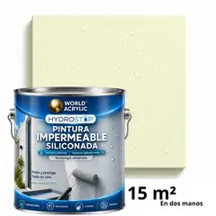 WORLD ACRYLIC - ESMALTE IMPERMEABLE SILICONADA - DIRECTO SOBRE HONGOS – SEMIBRILLO – GALÓN – MARFÍL LUZ