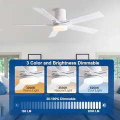 GENERICO - Ventilador Techo Rayqueen 52 Pulgadas Luz LED Control Remoto