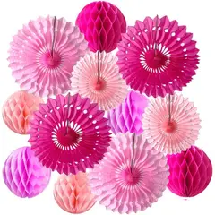 GENERICO - Set 12pcs Bolas Panal y Abanicos de Papel Rosados Fiesta