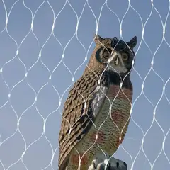 GENERICO - Malla Antipájaros 4mts X 10mts + 100 red Bridas De Plástico Transparente