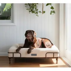 DONNAS PET BOUTIQUE - Cama Ortopedica Para Perros Donnas Essential Beige con base SoHo M
