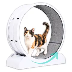 GENERICO - Rueda De Ejercicio Para Gatos Xl Caminadora Antideslizante