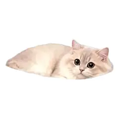HOOPET - Hamaca Flotante De Escritorio Para Gatos