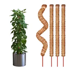 KOKILA - 21 Kits Tutor De Musgo Soporte Para Plantas 100cm/fibra Coco