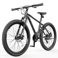 TEN SERIES - Bicicleta Spiegel Aro 29 Daytona 300 Obsidian Gray