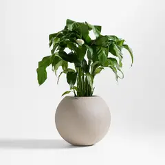 CRATE & BARREL - Maceta Sphere Grande Int/Ext