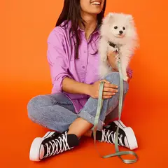 KULCAN - Collar Para Perro Con Correa Mascotas