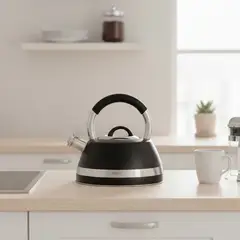 WURDEN - Tetera Acero Inoxidable 2.7 Litros Negra