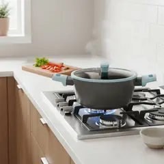 WURDEN - Olla Antiadherente Color New 20 Cm Gris