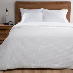 BASEMENT HOME - Plumón Textura Rick Blanco