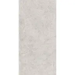 Portinari - Porcelanato Natural Ritual Sgr 58,4X117cm Caixa 1,37m²