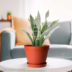 West Garden - Vaso Veneza Terracota 15 X 15 Cm. West