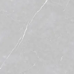 Delta Cerâmica - Porcelanato Retificado Acetinado Venato Argenta 120x120 Caixa 2,88 M²