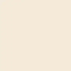Eliane - Porcelanato Retificado Bianco Plus Polido 60x60cm Caixa 1,80 M²