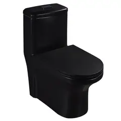 Sensi Dacqua - Kit Bacia Sanitaria monobloco duplo acionamento Roma Preto 30,5cm