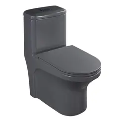 Sensi Dacqua - Kit Bacia Sanitaria monobloco duplo acionamento Roma Cinza 30,5cm
