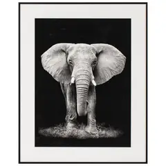 Just Home Collection - Quadro Elefante 40x50