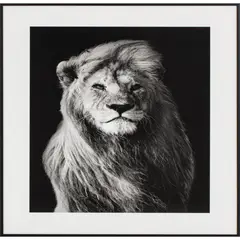 Just Home Collection - Quadro Leão 40X50