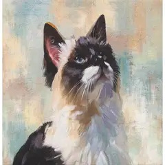 Just Home Collection - Tela Perfil de Gato 50x40