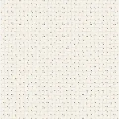 Elizabeth - Porcelenato Retificado Polido Pipa Bege Interno 49x99cm Caixa 1,94 M²