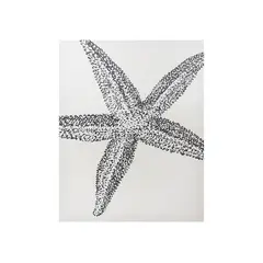 Just Home Collection - Tela Estrela Artist 40x50