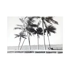 Just Home Collection - Tela Palmeiras na Praia 40x60