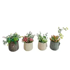 Just Home Collection - Suculenta Artificial D13 Cm