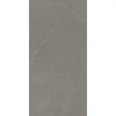 Incesa - Porcelanato Retificado Polido Essence Cinza Interno 60x120 Cm Caixa 2,20M² Biancogres Biancogres