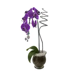 Timlog - Orquídea Phalaenopsis Cascata 2 Hastes Vaso de Vidro Decorada