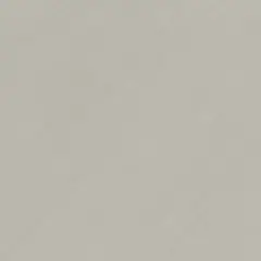 Elizabeth - Porcelanato Retificado Rustico Serra Amendoa Cinza Extgerno 60x60 Cm Caixa 2,16m²