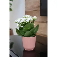 Okla - Vaso Cachepo Talin 14x13,3cm Pessego