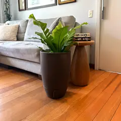 Brota Company - Vaso de Planta Vietnamita Autorigavel 45x30 m Marrom