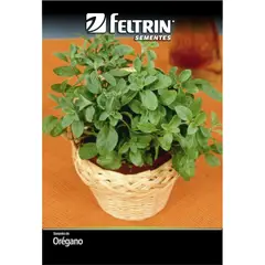 undefined - Semente Oregano Feltrin
