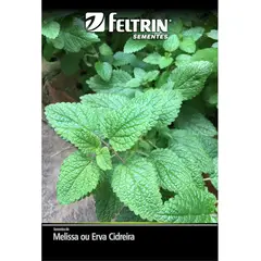 undefined - Semente Melissa Erva Cidreira Feltrin