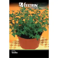 undefined - Semente Tomilho Feltrin