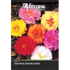 undefined - Semente Onze Horas Dobrada Sortida Feltrin