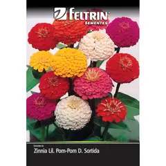 undefined - Semente Zinia Lilliput Pom-pom Feltrin