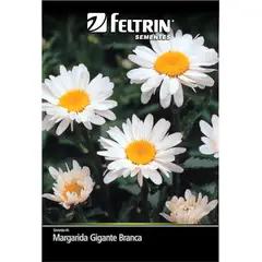 undefined - Semente Margarida Gigante Branca Feltrin