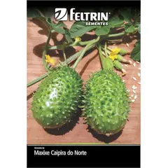 undefined - Semente Maxixe do Norte Feltrin