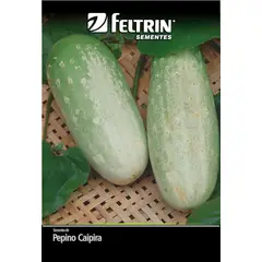 undefined - Semente de Pepino Esmeralda Tipo Caipira Feltrin
