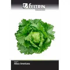 undefined - Semente Alface Rafaela-americana Feltrin